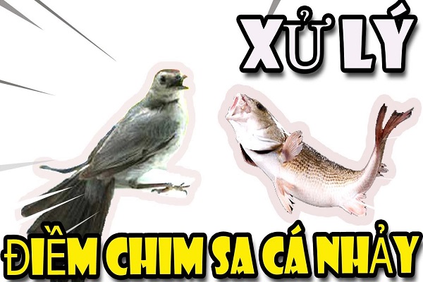 Chim sa cá nhảy là gì? Điềm báo tốt hay xấu-3