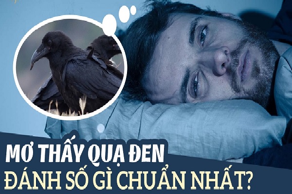 Quạ đen bay vào nhà có điềm gì? Tốt hay xấu-4