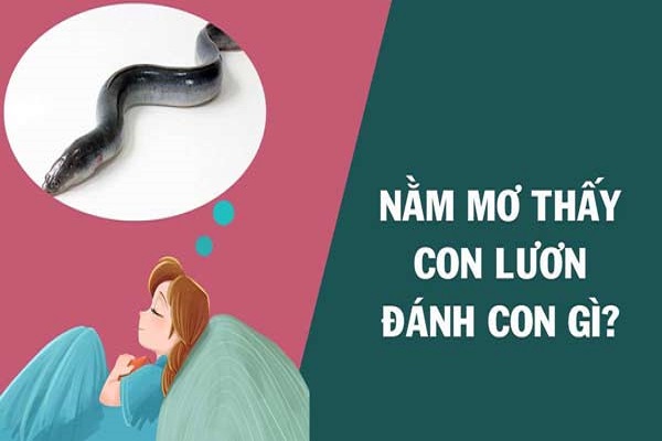 Nằm mơ thấy lươn là điềm tốt hay xấu? Đánh số mấy?-3