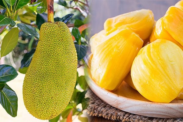 Nằm mơ thấy quả mít là điềm tốt hay xấu? Đánh số mấy?-1