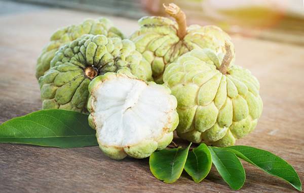nằm mơ thấy quả na