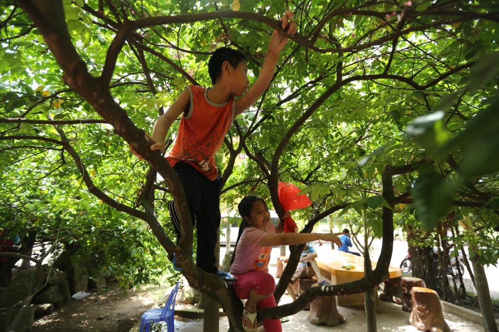 nằm mơ thấy trèo cây