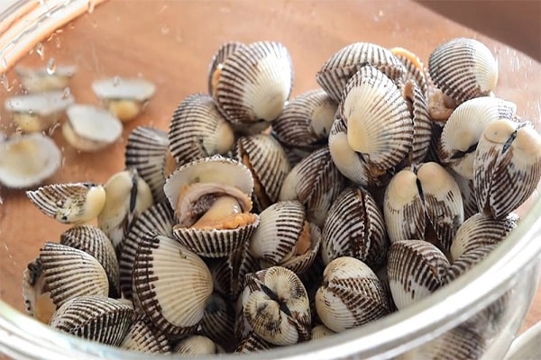 nằm mơ thấy sò điệp