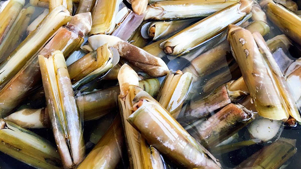 Mơ thấy ốc móng tay