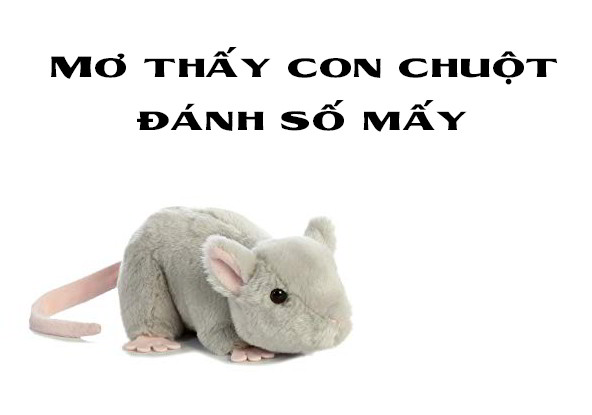 Điềm báo mơ thấy chuột